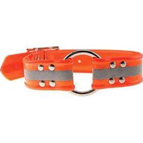 Sunglo Reflective Dog Collar (ORANGE, 1 X 19 IN) [048197]