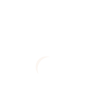 Purrfectly Paws