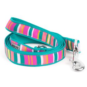 Fiesta Stripe Lead (size: SmallBlue)