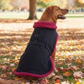 Sherpa-Lined Dog Harness Coat - Black & Burgundy Dots (size: 2X-Large)
